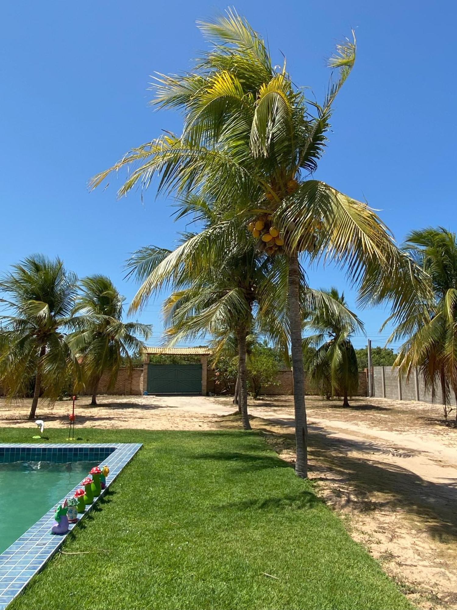 Sitio Sossego - A 5 Min Da Praia Das Fontes Beberibe Exteriör bild
